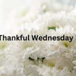 Positive Thankful Wednesday Blessings