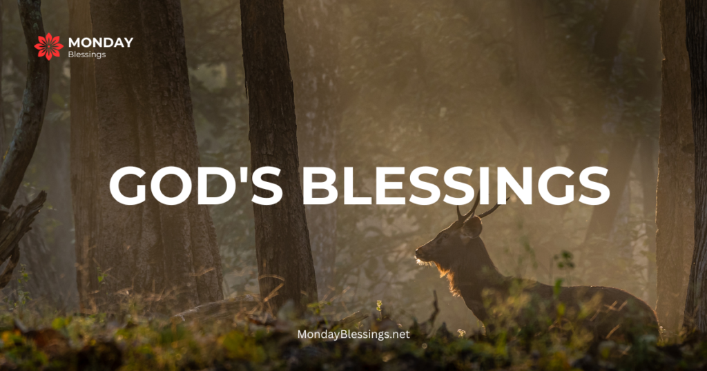 god's blessings