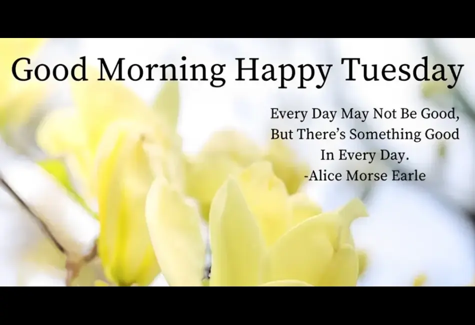 Tuesday Blessings Quotes