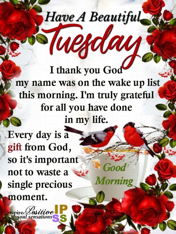 Tuesday Blessings Quotes