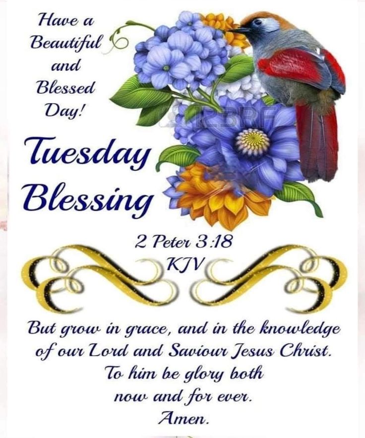 Tuesday Blessings Quotes