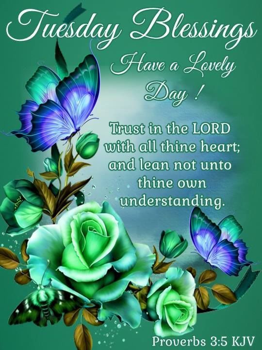 Tuesday Morning Prayers and Blessings