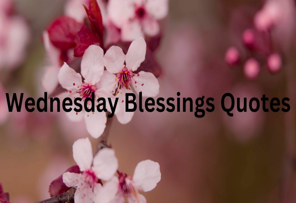 Wednesday Blessings and Prayers