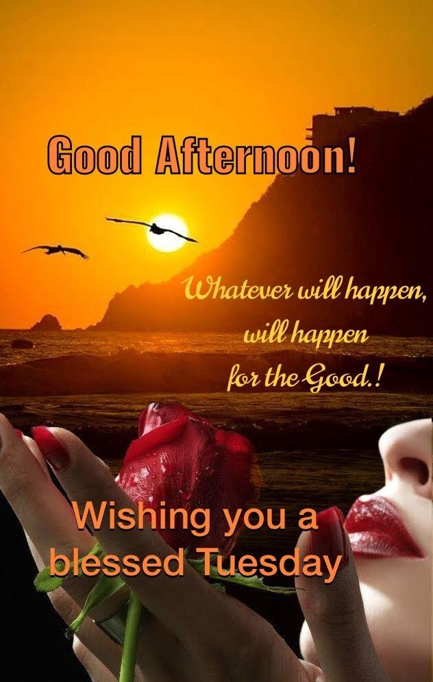 Tuesday Afternoon Blessings