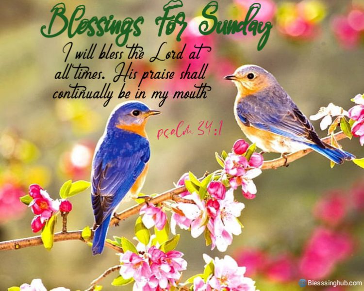 Positive Sunday Blessings