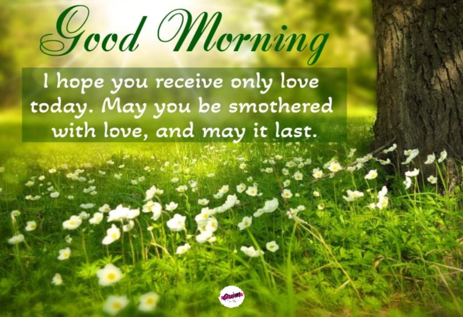 370+ Positive Good Morning Blessings, Prayers and Quotes With Images