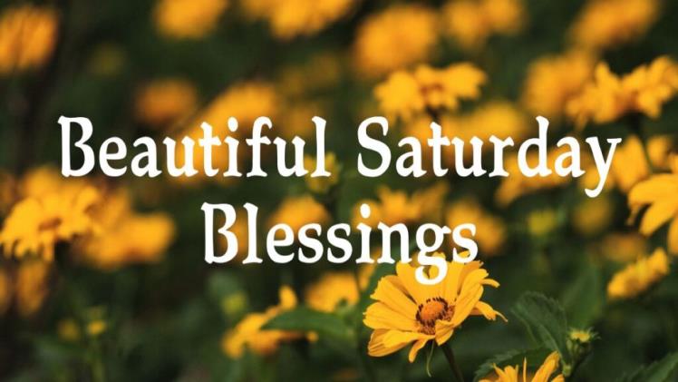 390+ Happy Saturday Blessings, Prayers and Quotes With Images