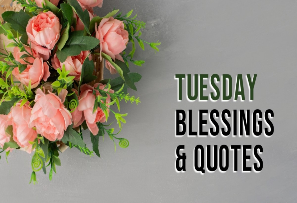 450+ Positive Good Morning Tuesday Blessings Images and Quotes