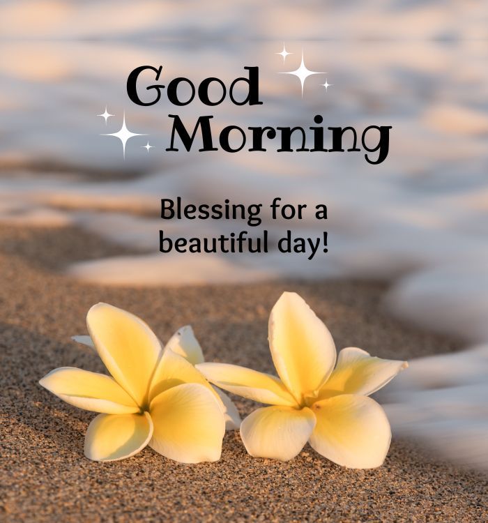 Morning Blessings Quotes