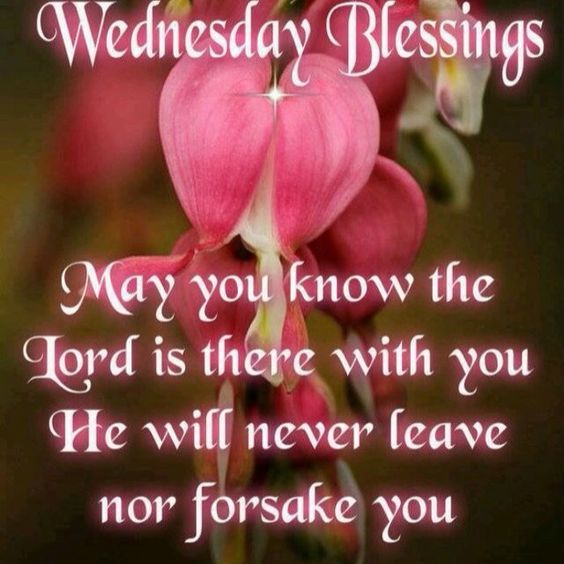 Wednesday Morning Blessings and Prayers Quotes