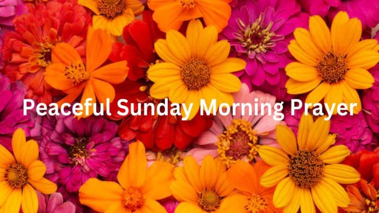 100+ Abundant Blessings With Images