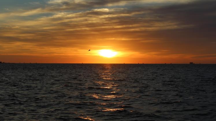 500+ Amazing And Beautiful Saturday Blessings